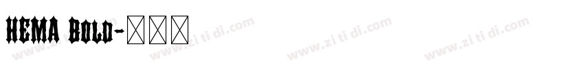 HEMA Bold字体转换